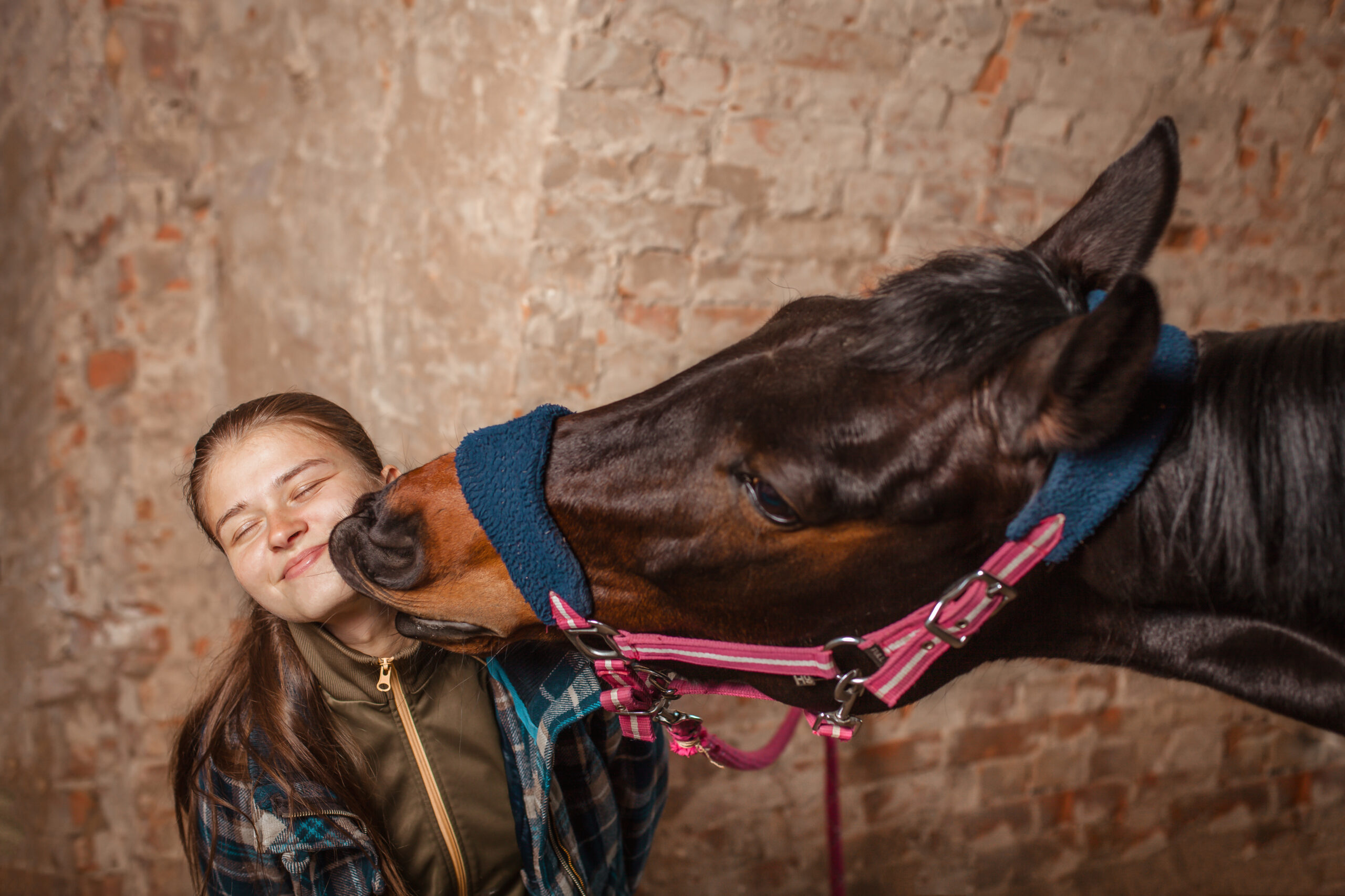 A young girl kisses a horse. A horse kisses his mistress