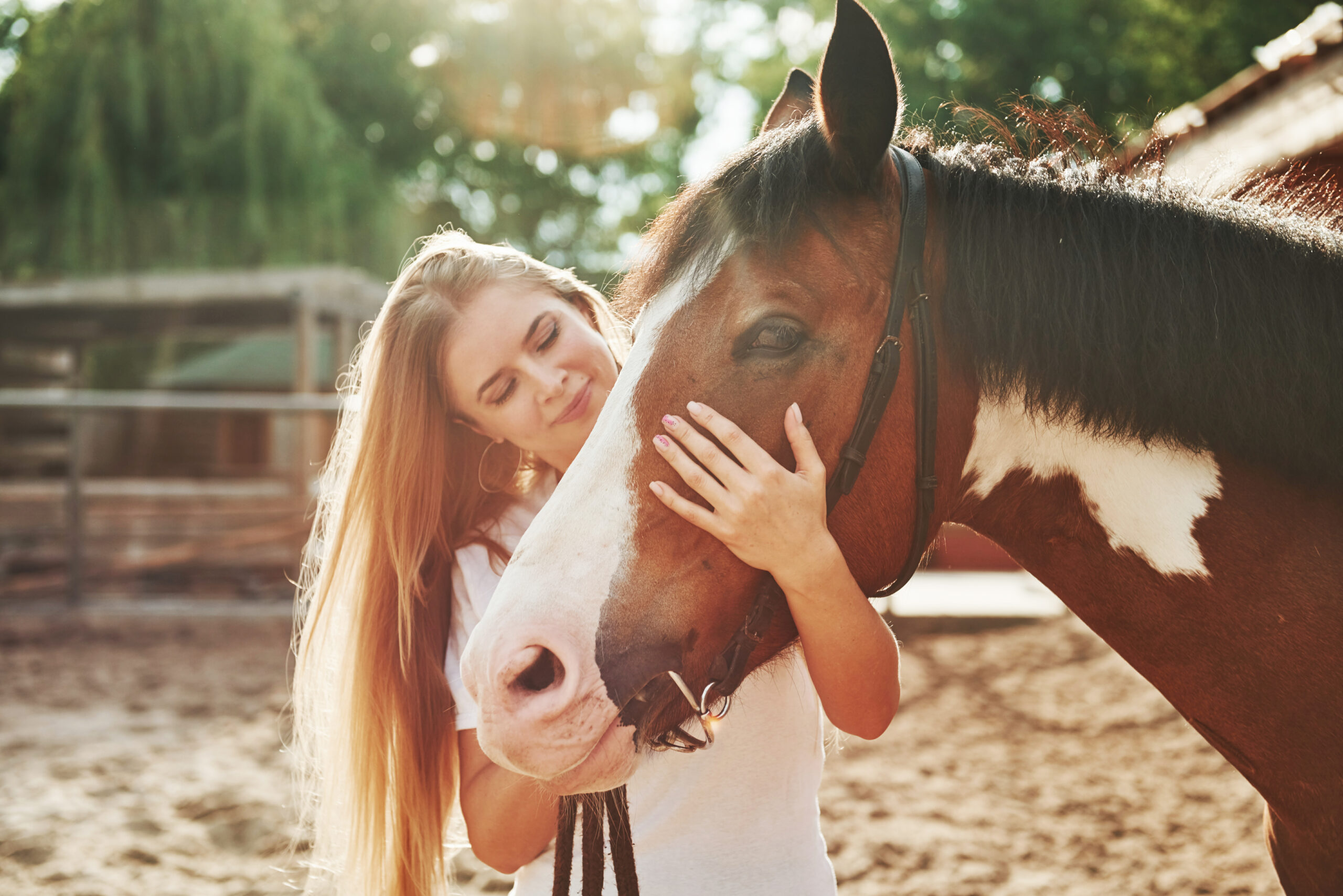 Together with favourite owner. Happy woman with her horse on the ranch at daytime